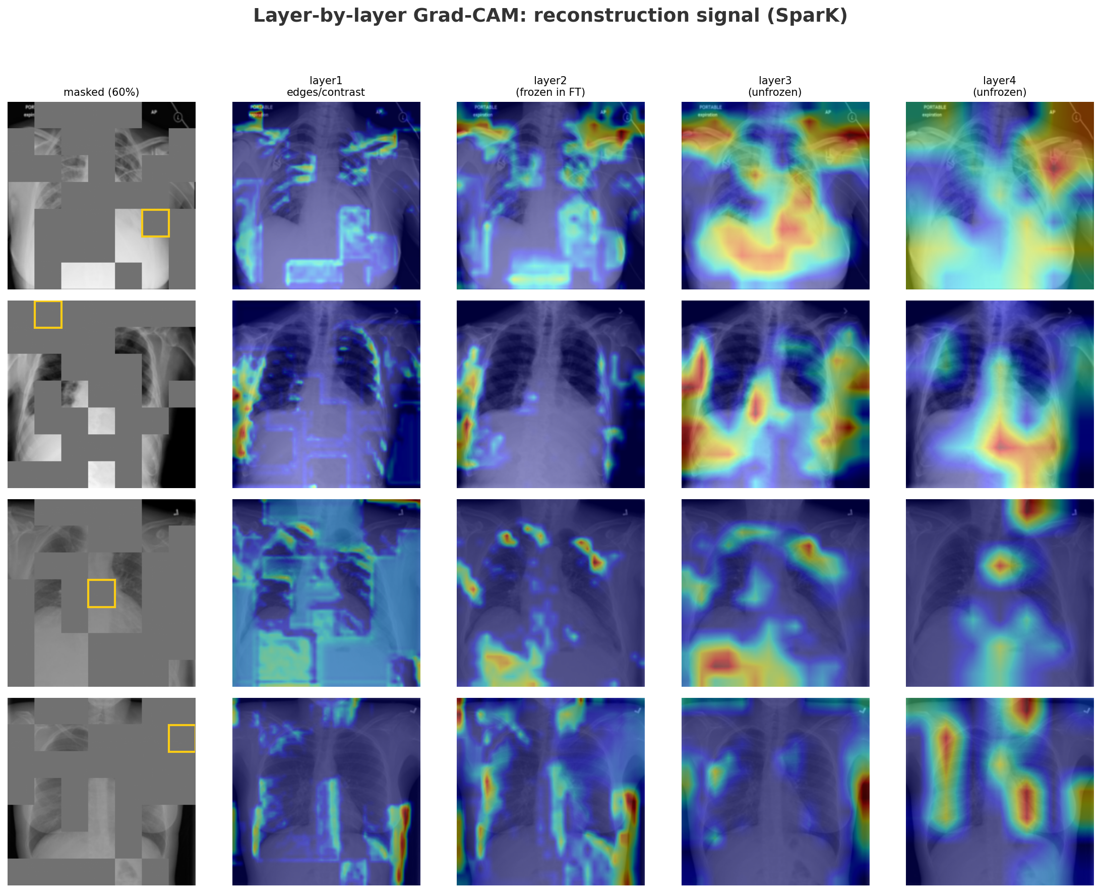 SparK reconstruction GradCAM: encoder attention during masked patch reconstruction